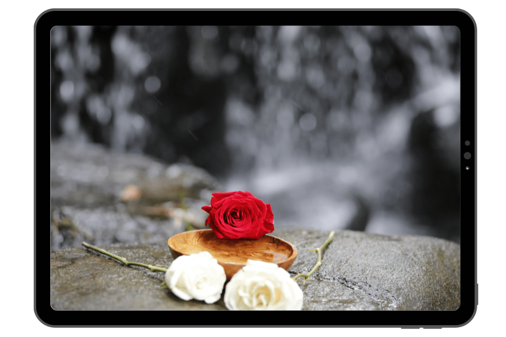 Online Shamanism Course. Learn shamanic healing online